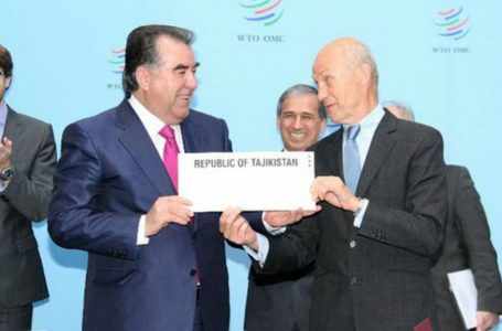 У Таджикистана появились новые представители при ОЭС и ВТО