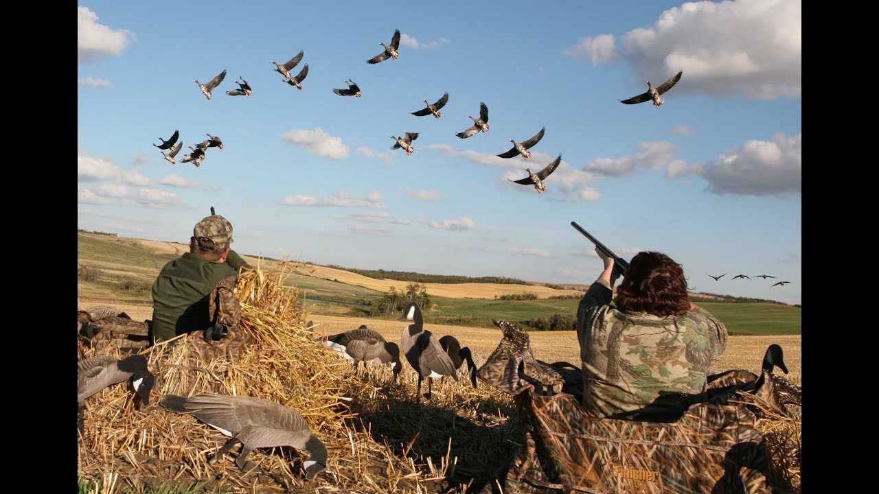 Директор Службы национальной безопасности предложил запретить охоту на 5 лет – премьер-министр поддержал