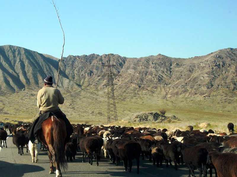 Руководители Таджикистана и Кыргызстана поощряют жителей приграничных деревень к дружбе и добрососедским отношениям