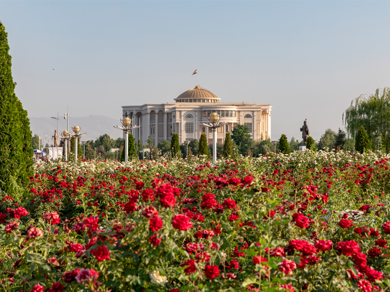 В Ташкенте создано Общество дружбы Узбекистан-Таджикистан