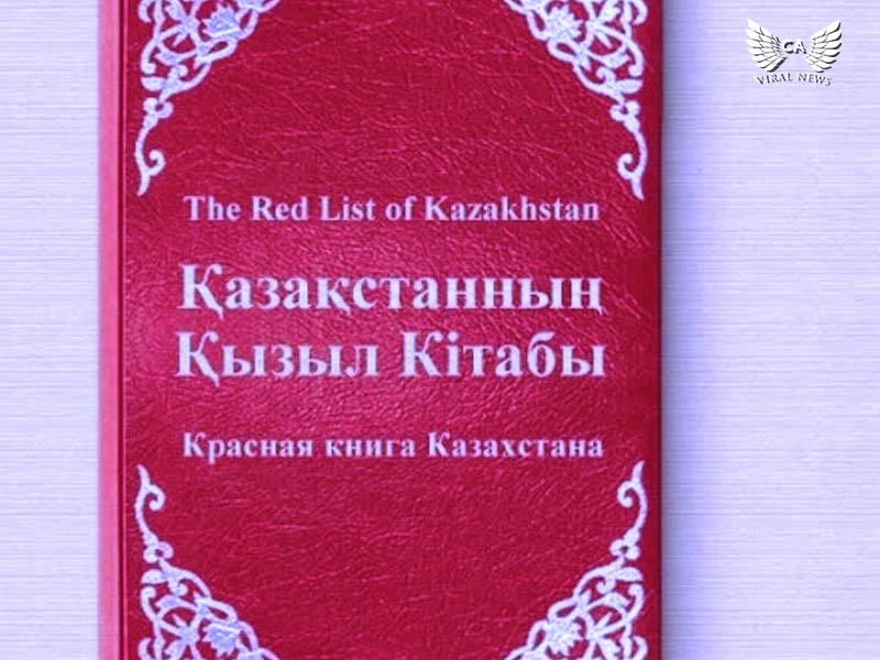 В Кыргызстане продолжаются политические чистки экс-чиновников