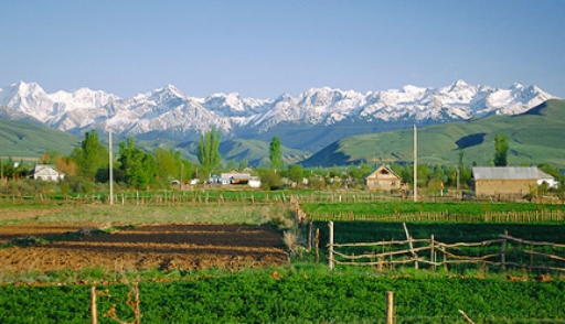 Неясная судьба кыргызской деревни на границе с Таджикистаном вызывает вопросы