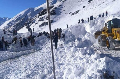 Два человека погибли в результате схода лавины в Чаткале