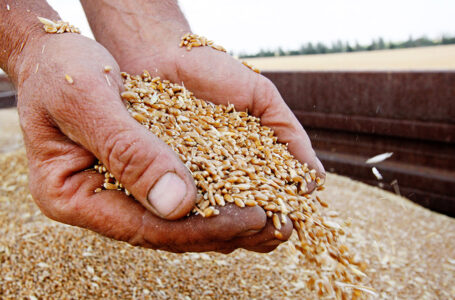 Как рост мировых цен на пшеницу повлиял на экономику Азербайджана?