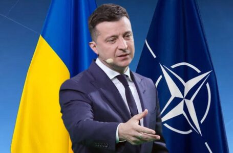 Зеленский обвинил НАТО в «слабости»