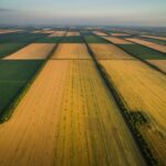 В Узбекистане сельскохозяйственные землепользователи получат субсидию в размере 1 млн сумов на гектар