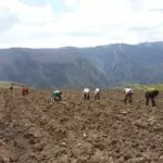 Они отказываются идти на работу․ Падение курса рубля поставило людей Азатана на грань краха