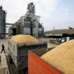 Йеменские повстанцы заявили, что готовы покупать пшеницу в России за рубли