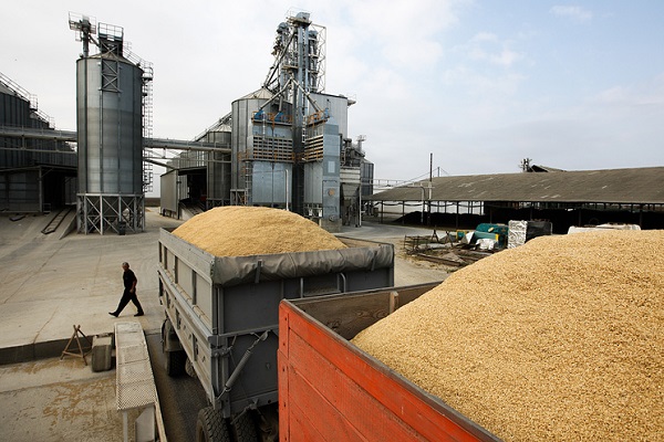 Йеменские повстанцы заявили, что готовы покупать пшеницу в России за рубли