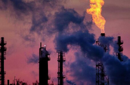 С 2020 года в Узбекистане зарегистрировано 428 случаев отравления промышленными газами