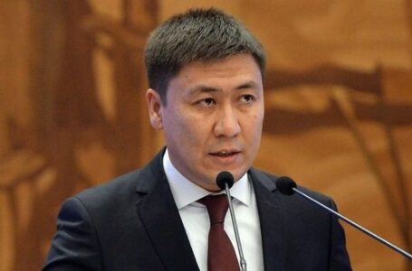 Депутат Акаев заявил, что правительство «передало Ширшову крупные предприятия»