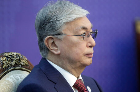 Президент Казахстана принял Председателя Мажилиса