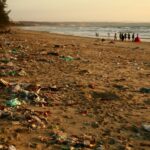 Жители Костаная жалуются на состояние пляжа