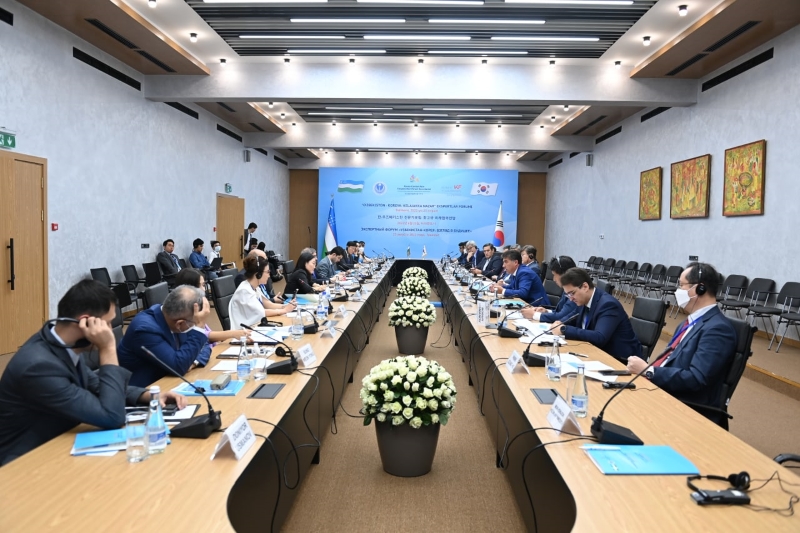 Южнокорейская делегация в ИСМИ, Узбекистан