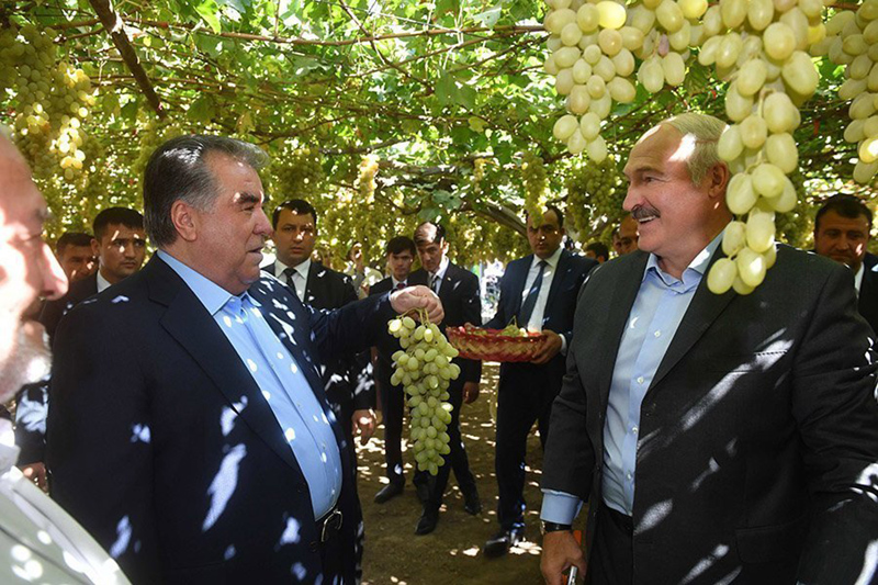 lukashenko i rahmon proveli neformalnuyu vstrechu v tadzhikistane