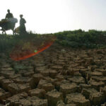 Нехватка воды принесет серьезные проблемы для сельского хозяйства