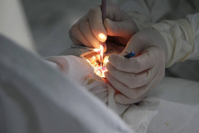 В погоне за красотой пациенты попадают к лжепластическим хирургам