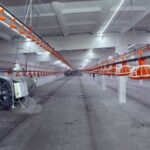 v sogdijskoj oblasti tadzhikistana planiruetsya otkrytie pticzefabriki