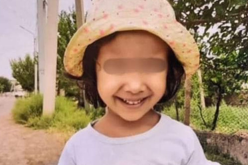 v almaty i turkestanskoj oblasti zhestoko ubity devochki