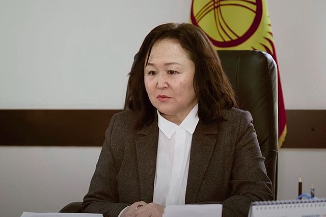 byvshaya ministr prirodnyh resursov kyrgyzstana razygrala spektakl s pohishheniem syna