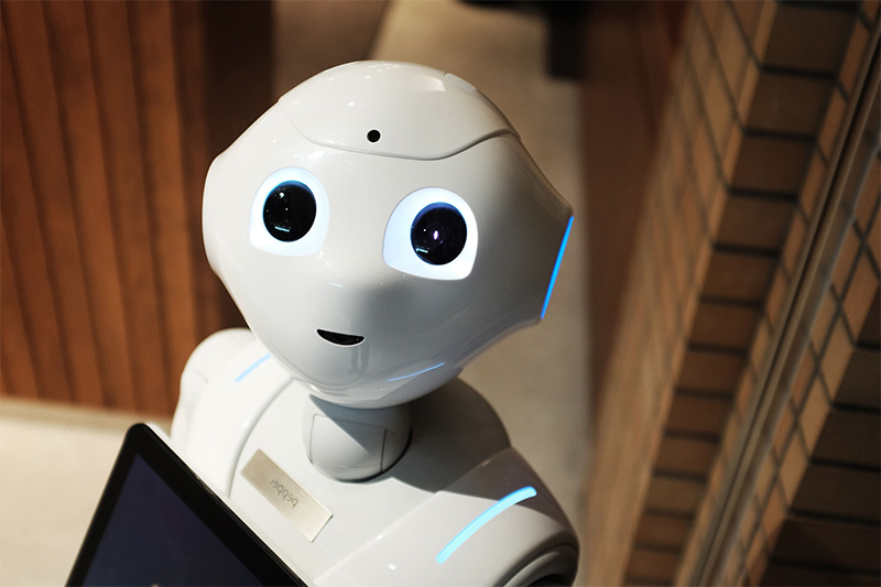 chat-bot-protiv-korrupczii-poyavitsya-v-kazahstane