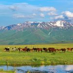 kyrgyzstan-nature-gorges-canyons-valleys-suusamyr-valley