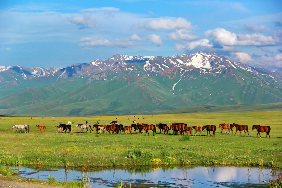 kyrgyzstan-nature-gorges-canyons-valleys-suusamyr-valley
