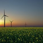 uzbekistan-planiruet-poluchat-alternativnuyu-energiyu-iz-othodov