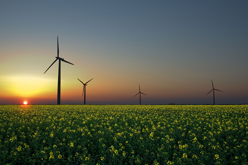 uzbekistan-planiruet-poluchat-alternativnuyu-energiyu-iz-othodov