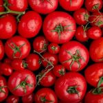 rosselhoznadzor-uzhe-vnov-obnaruzhila-vreditelej-v-pomidorah-iz-turkmenistana