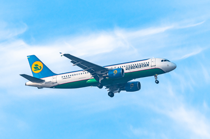Мечтаете о небе Uzbekistan Airways ищет бортпроводников!