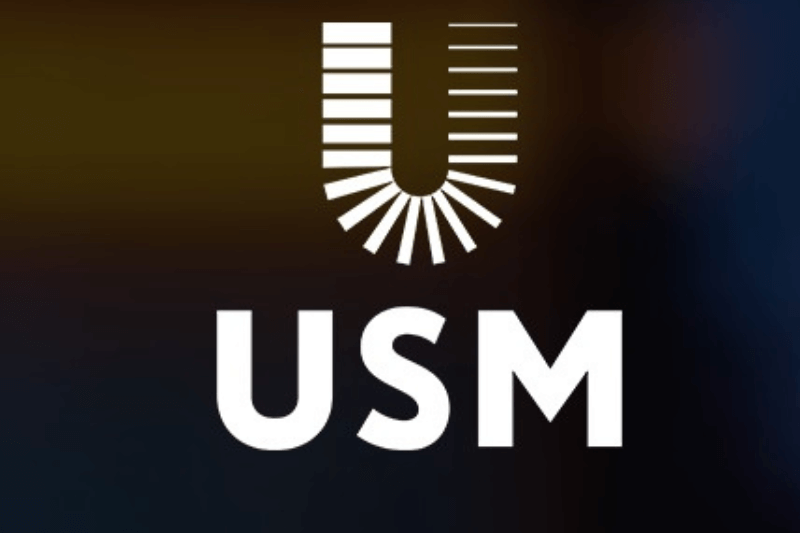 USM Invest: Как заработать?