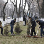 Всенародный хашар в Узбекистане 24−25 августа благоустройство махаллей и безопасность участников