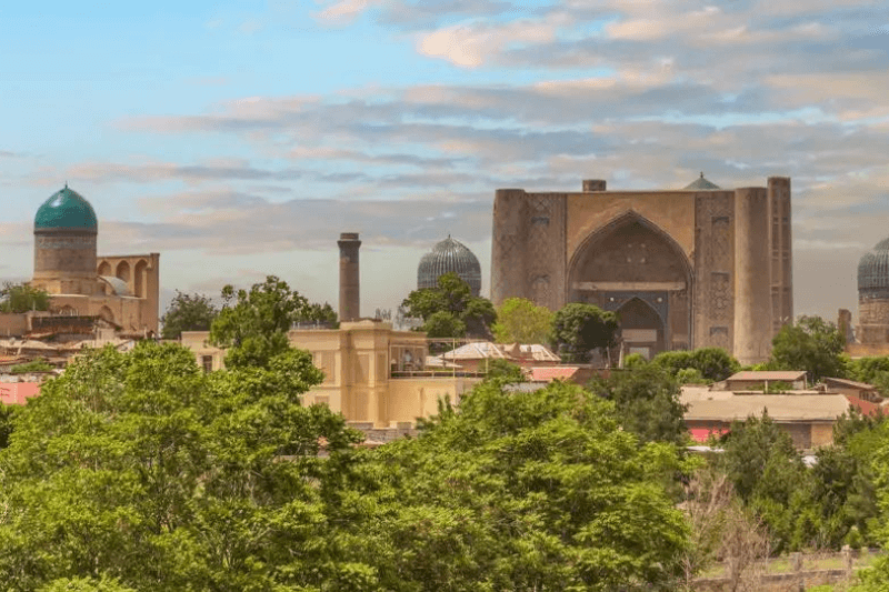 Германия подписала миграционное соглашение с Узбекистаном для привлечения квалифицированных специалистов