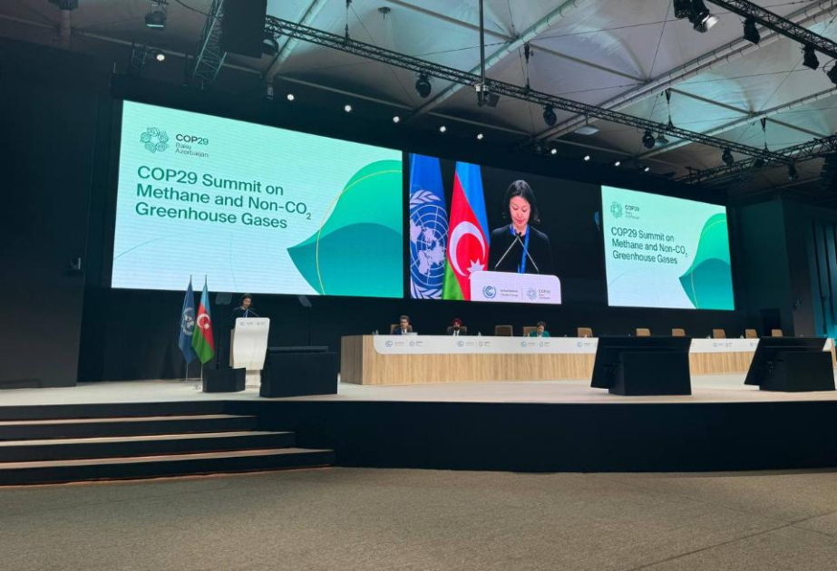 Казахстан на COP29: Планы по сокращению выбросов метана и экопрограммы к 2025 году
