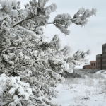 Морозы до -20°C в Казахстане прогноз погоды на начало декабря