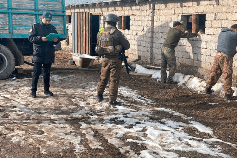 Тоннели на границе Казахстана и Узбекистана тайный бизнес контрабандистов