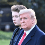 Дональд Трамп-младший и Илон Маск обвинили Украину в пожарах в Калифорнии