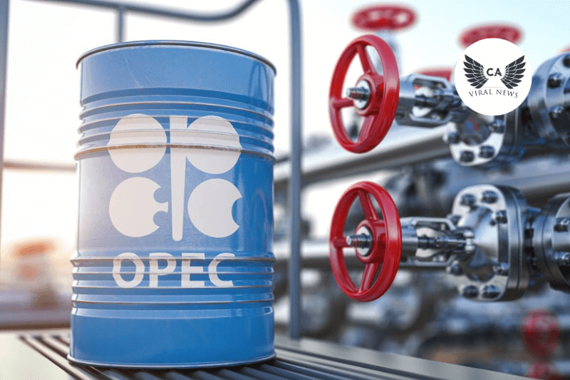Россия и ОАЭ продолжат координацию в формате ОПЕК+