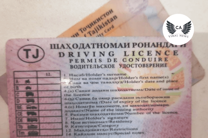 Таджикистан и Кыргызстан признали водительские удостоверения друг друга