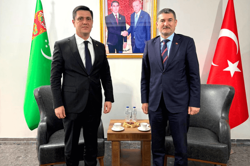 Посол Туркменистана в Анкаре обсудил сотрудничество с советником Президента Турции