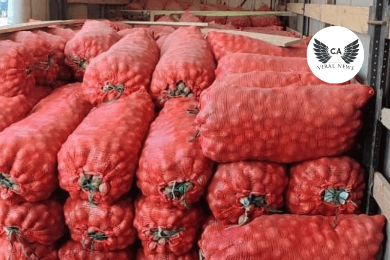 Импорт картофеля в Кыргызстан не повлиял на местных фермеров