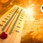 На этой неделе в Узбекистане жара до +42°C и сильный ветер