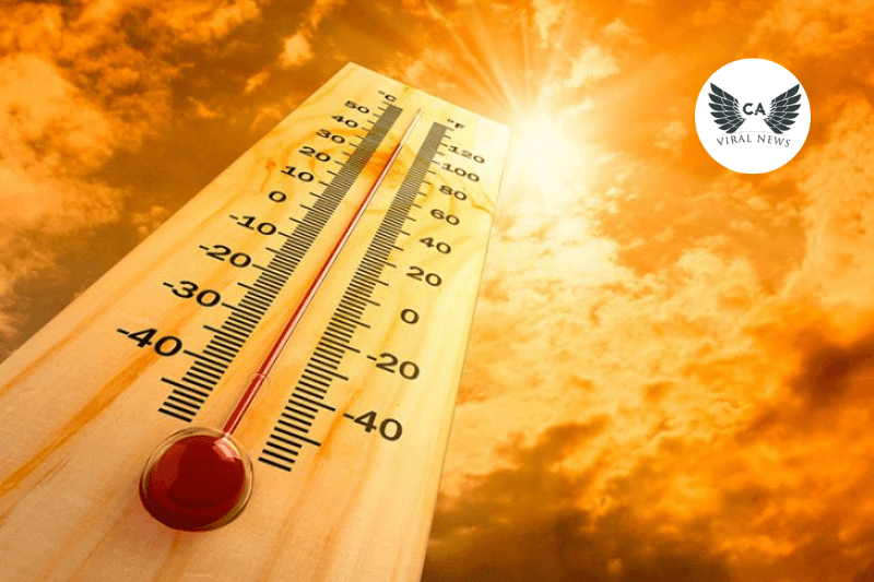 На этой неделе в Узбекистане жара до +42°C и сильный ветер