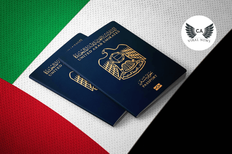 ОАЭ запускает Blue Residency Visa 10-летний вид на жительство для защитников экологии