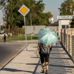 Жара до +45° сохранится в Узбекистане всю неделю
