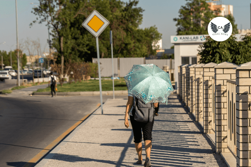 Жара до +45° сохранится в Узбекистане всю неделю