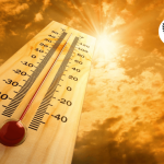 Экстремальная жара в Узбекистане до 46°C в тени, ветер с пылью и рекомендации Минздрава