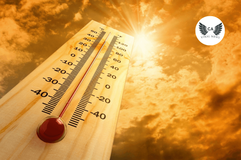 Экстремальная жара в Узбекистане до 46°C в тени, ветер с пылью и рекомендации Минздрава