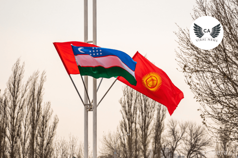 Кыргызстан оформил госсобственность на земли, переданные Узбекистаном